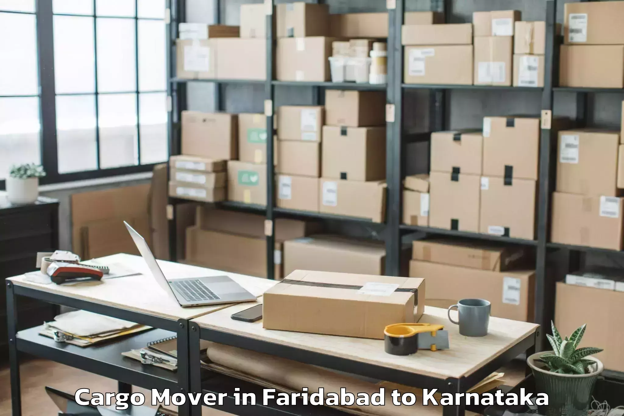 Leading Faridabad to Thamballapalle Cargo Mover Provider